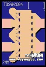 c鿴TGF2021-02DƬ