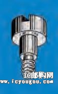 c鿴2426DƬ