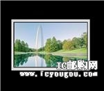 DTFS101Y0SHLX-L00DƬ