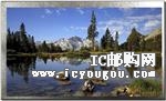 c(din)鿴AWT-1280800T7N01DƬ