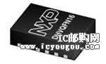 NPIC6C596BQ-Q100DƬ