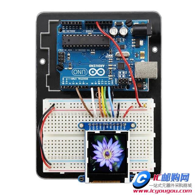 c鿴2088DƬ