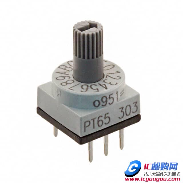 c鿴PT65303DƬ