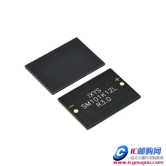 SM101K12LDƬ