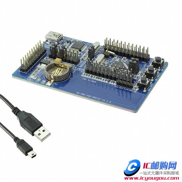c鿴SK-FM0-V48-S6E1A1DƬ