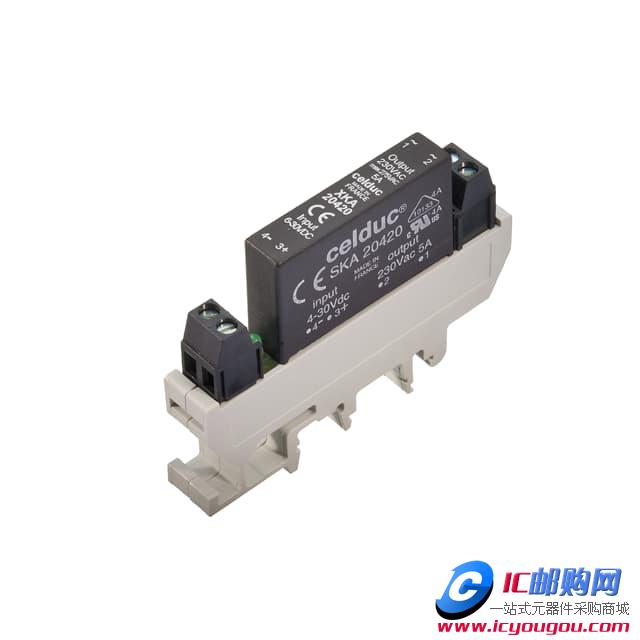 XKA20420DƬ